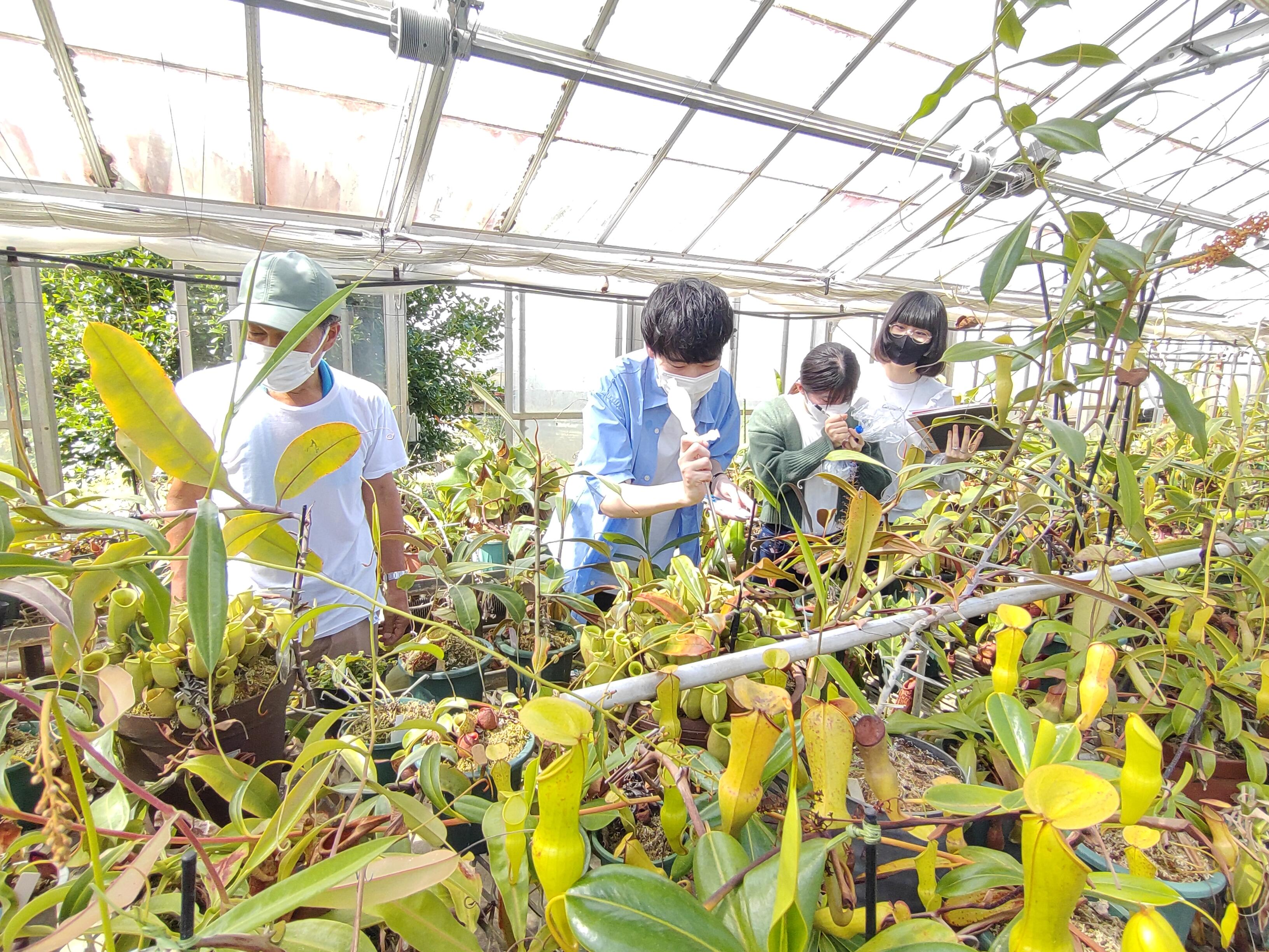 ブランドストーリーイメージ1：自然の中で植物を研究する